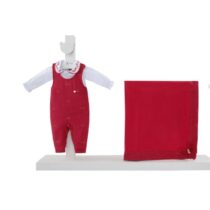 WhatsApp Image 2025-10-27 at 11.32.29